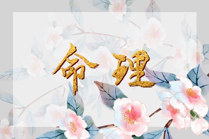 择吉黄历每日宜忌,在线黄历,日历2026年黄历